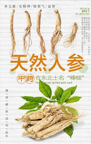 人参海报图片
