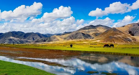草原河流图片 草原河流图片