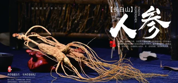 人参图片