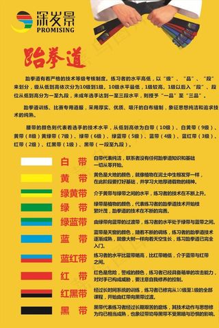 跆拳道 腰带  培训班图片