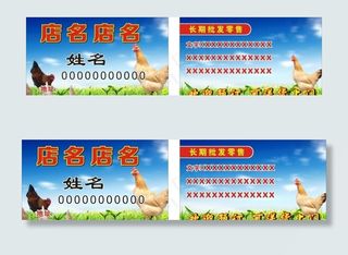 鸡名片图片