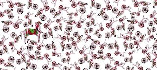 大牌 方巾 丝巾 数码印花 豹图片