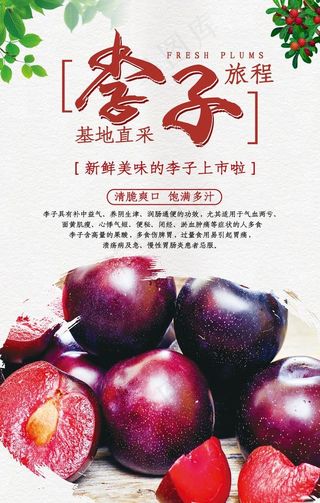 李子海报图片