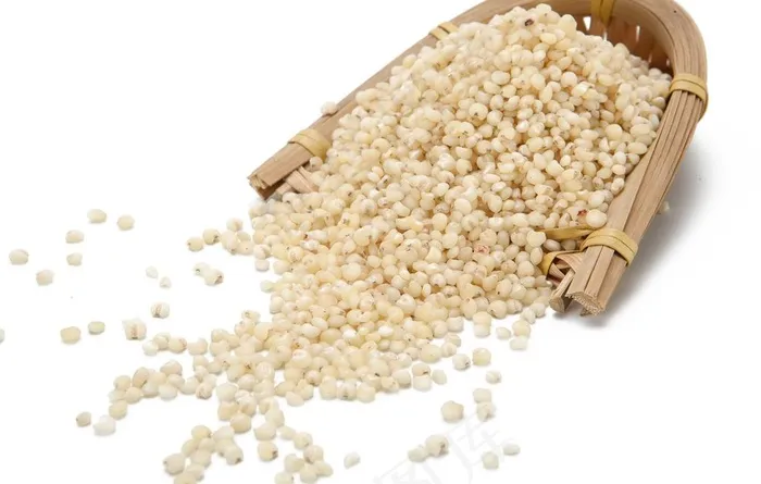 高粱米 食物摄影 实物摄影图片