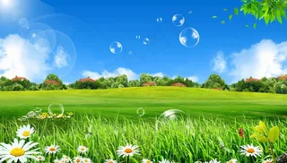 蓝天白云草地图片