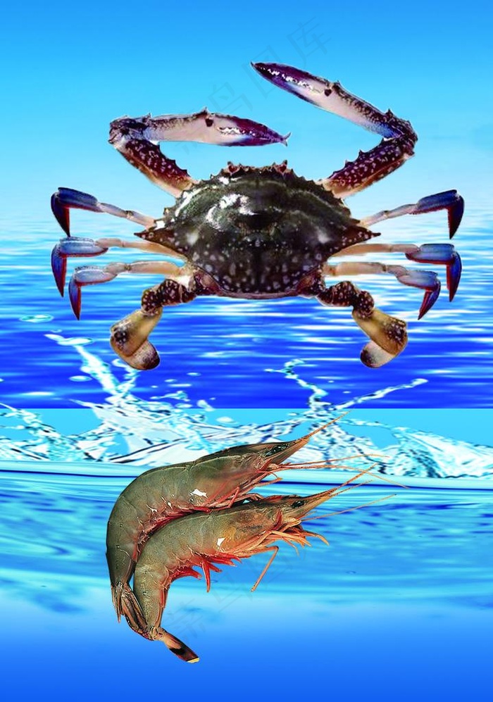 海鲜图片(2079X2835(DPI:80))psd模版下载
