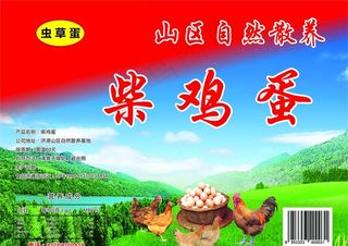 纯天然山鸡蛋图片