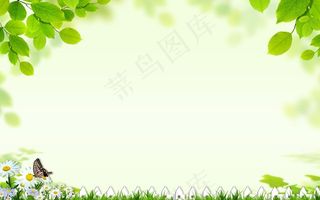 绿叶背景图片