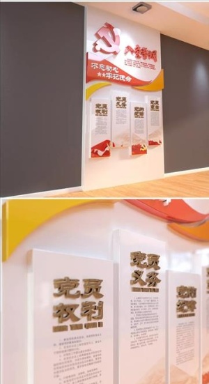 党员活动室文化墙图片
