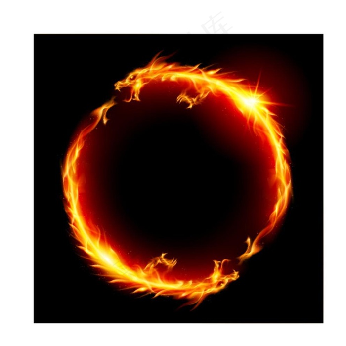 双龙火圈图片