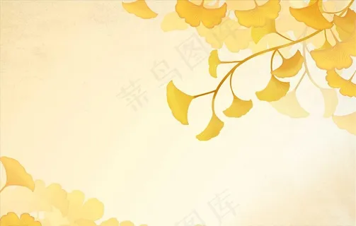 黄色花朵植物图片