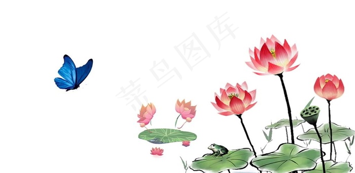 荷花背景图片