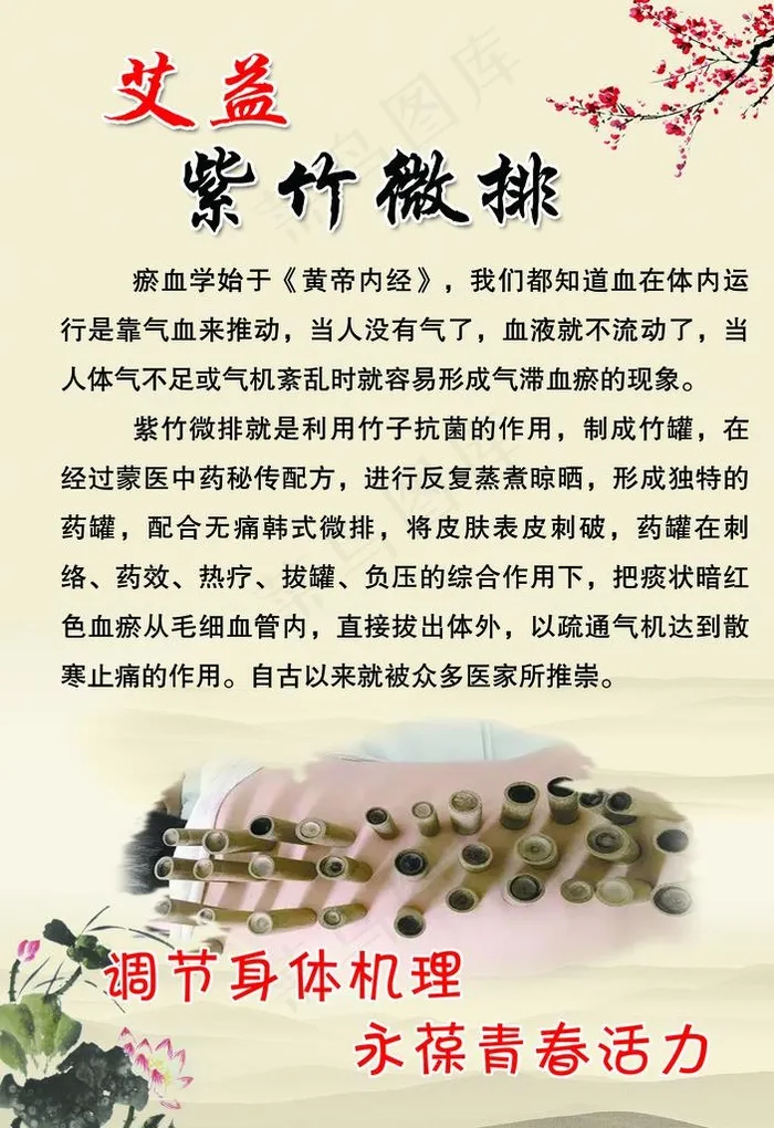 紫竹微排图片psd模版下载