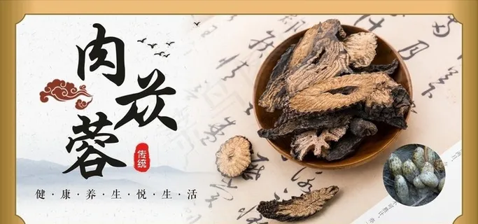 肉苁蓉 中药材图片