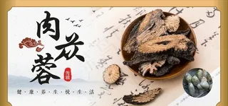 肉苁蓉 中药材图片