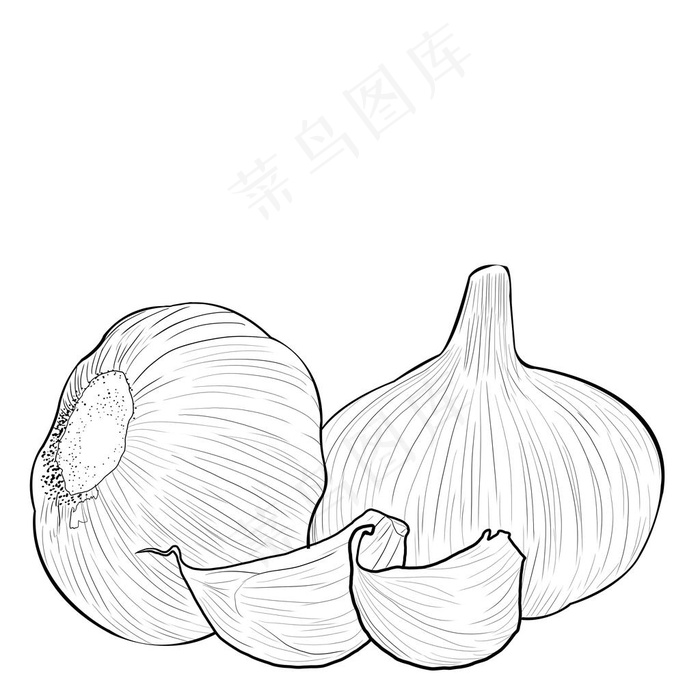 蒜图片psd模版下载