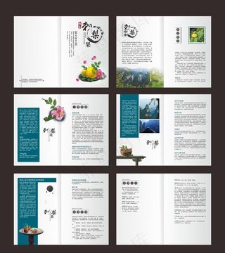 中国风画册  土身土长刺梨果图片