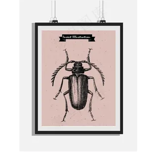欧式复古手绘甲虫黑白版画装饰画图片