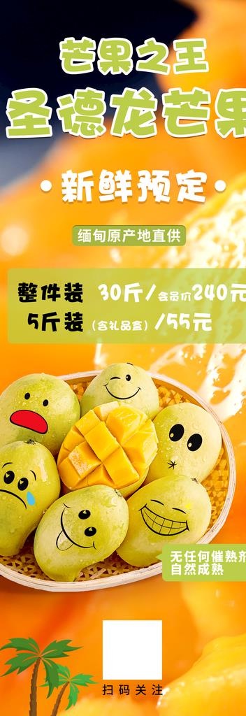 圣德隆芒果展架海报图片(1701X4535(DPI:72))psd模版下载