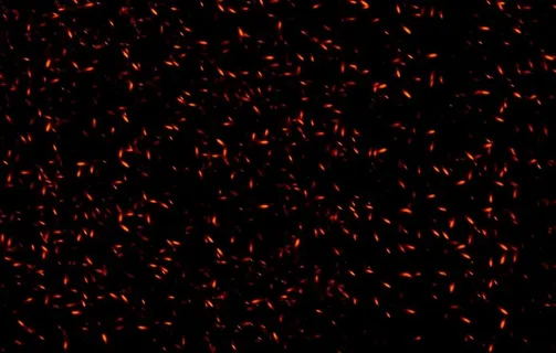 火焰图片 火焰图片