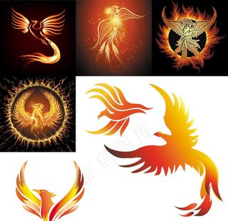 火焰凤凰 泯灭重生图片