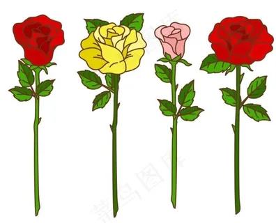 矢量玫瑰花图片