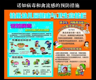 诺如病毒和禽流感的预防措施展板图片