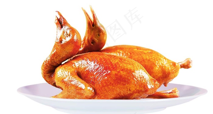 乳鸽图片