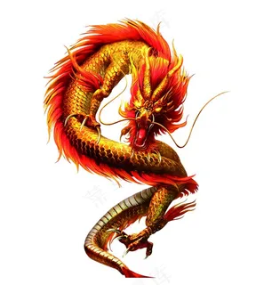 金龙图片 金龙图片