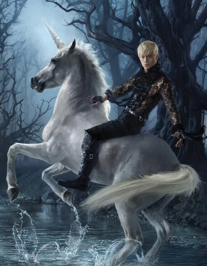 周杰伦 十二新作图片 周杰伦 十二新作图片