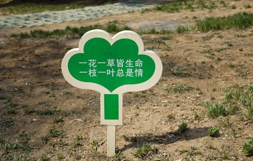 爱护花草指示牌图片