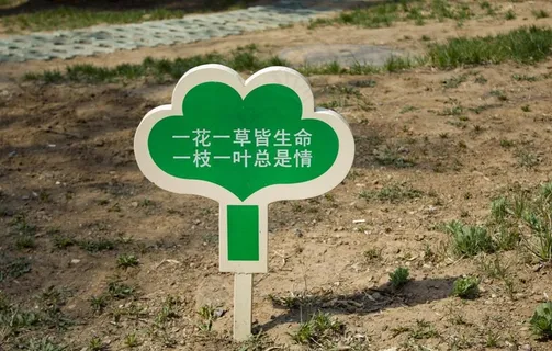 爱护花草指示牌图片