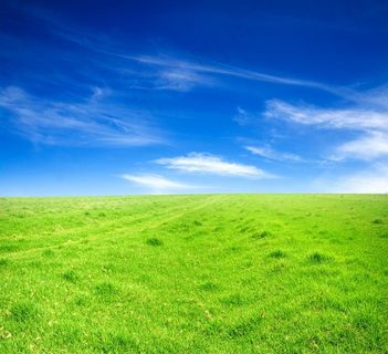 蓝天白云绿草地图片