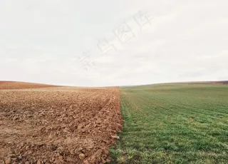 土地 草坪图片