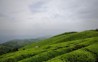 宁波福泉山图片