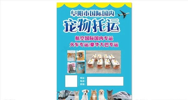 宠物托运宣传单图片