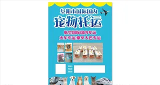 宠物托运宣传单图片