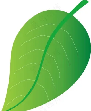 绿叶 树叶图片