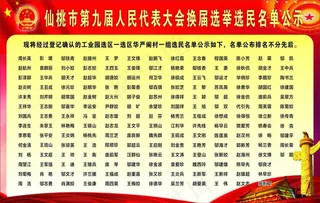 第九届人大选举选民名单公示图片