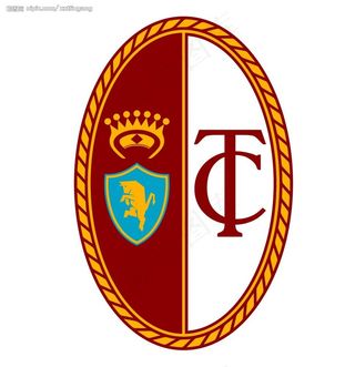 意甲都灵队标志图片