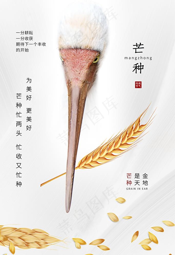 芒种图片(2362X3543(DPI:200))psd模版下载