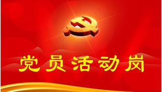 党员活动岗图片