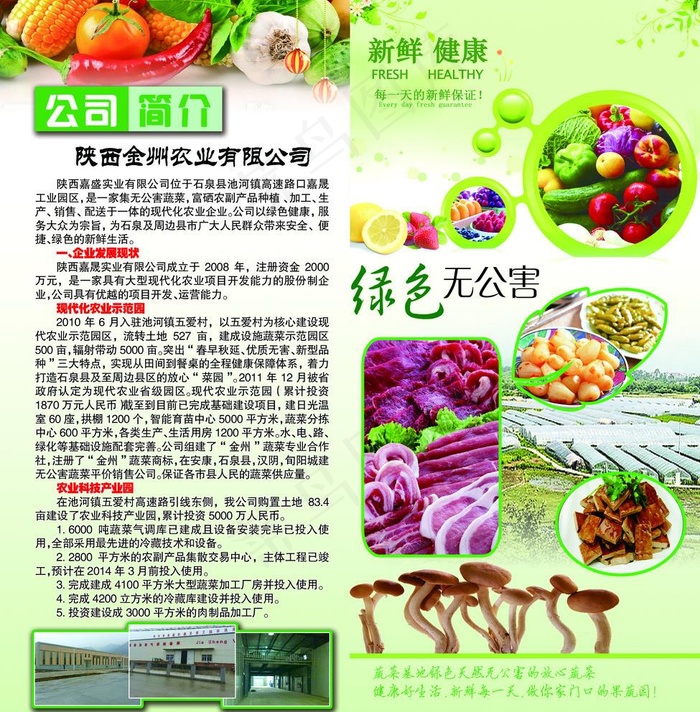 果蔬折页图片