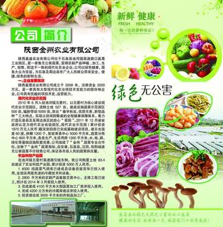 果蔬折页图片