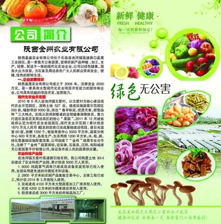 果蔬折页图片