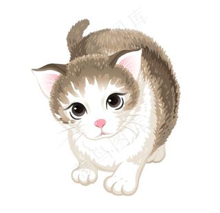 卡通猫咪图片