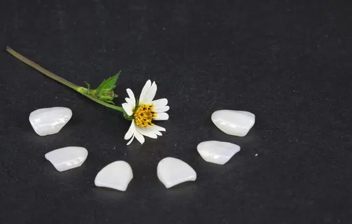 活动假牙 隐形义齿图片