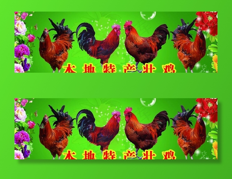 本地特产壮鸡图片(5314X1772(DPI:150))psd模版下载