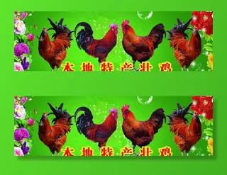 本地特产壮鸡图片