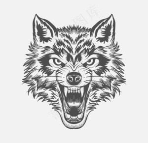 狼头线描矢量图片